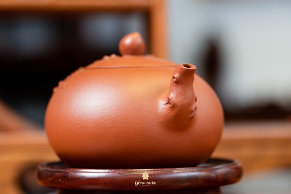 Dáng Ấm Đào Thọ