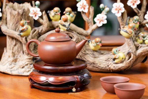 Dáng Ấm: Thủy Bình