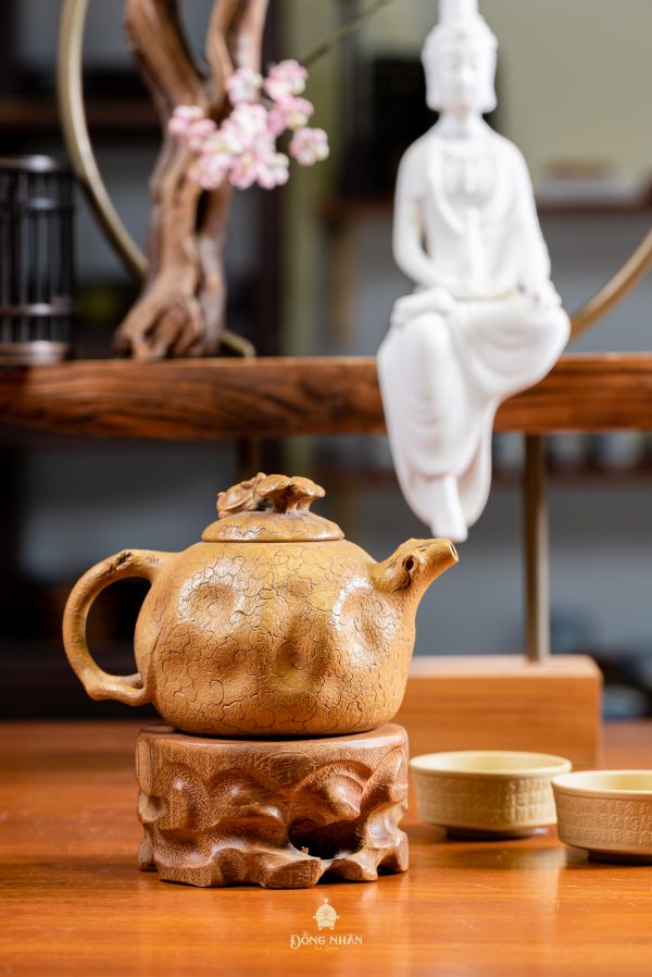 Dáng Ấm: Cung Xuân