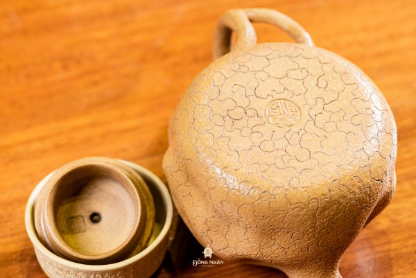Dáng Ấm: Cung Xuân