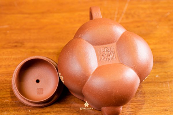 Dáng Ấm Tiền