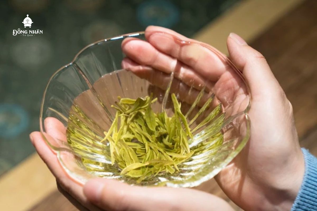 TẠI SAO TRÀ XUÂN LẠI CÓ CHẤT LƯỢNG TỐT NHẤT? CHỌN TRÀ XUÂN NHƯ THẾ NÀO?