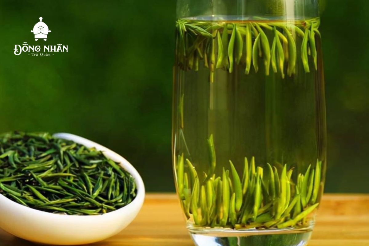 TRÀ XANH - 10 CÔNG DỤNG CỦA LOẠI TRÀ QUỐC DÂN