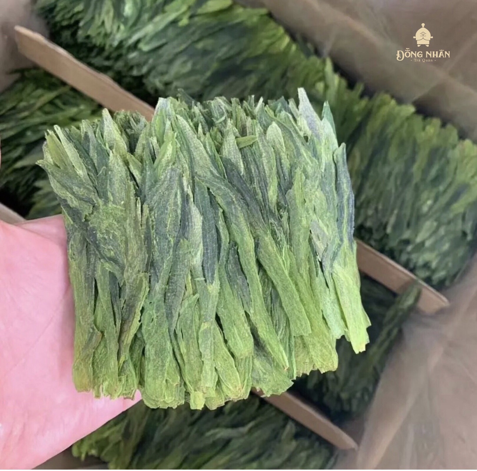 Trà Thái Bình Hầu Khôi
